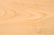 Unpolished beech wood texture without knots