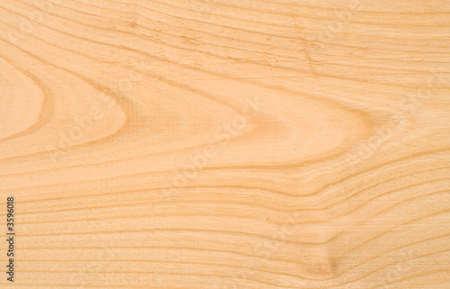 Fotomural Unpolished beech wood texture without knots