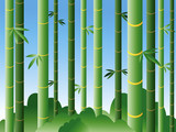 Fototapeta Sypialnia - Bamboo forest