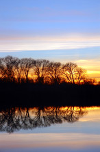 Colorful Sunset , Silhouette Of Riparian Oak Trees, Reflection