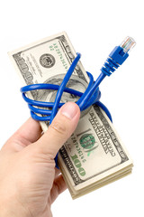 Sticker - Network Connection Plug and dollars, concept of online business