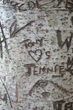 Tony Loves Jennie