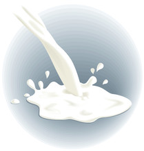 Milk Pouring Out, Spilled, Drops. Vector Illustration.