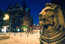 Lion In The Square