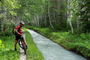 Wall Mural - Mountain biker, small river and birch forest