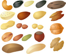 Various Nuts And Seeds