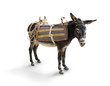Greek Mule / Donkey