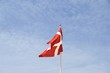 Danish Flag II