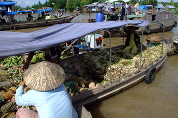 Wall Mural - Marche flottant, Vietnam