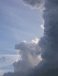 Leinwandbild Motiv flock of birds in flight against a background of clouds