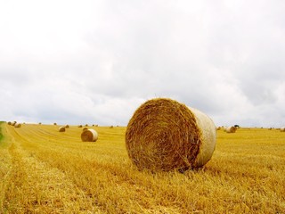 straw afield 