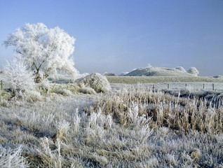 Sticker - frost covered landscape christmas card scene