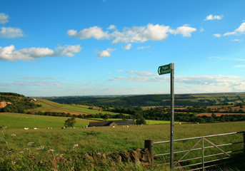 Wall Mural - the dales uk