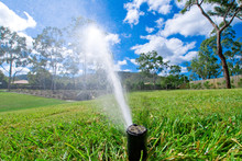 Sprinkler Watering Lawn Grass