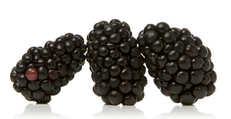 Sticker - blackberries isolated over white background