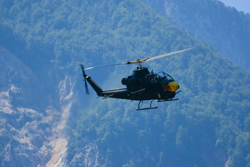 Wall Mural - Attack Helicopter at the Airshow