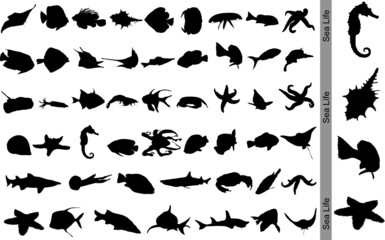 Sea Life. Vector.