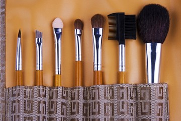 Cosmetic brushes lined up in the tool case.