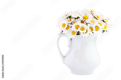 Daisy bouquet