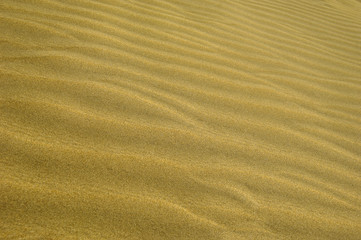  wavs in the sand