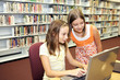 © Lisa F. Young - School Library - Research Online