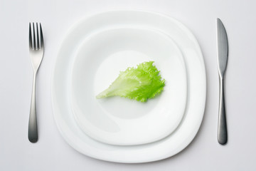 place setting with lettuce leaf 2