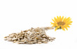 Leinwanddruck Bild - Sunflower and seeds