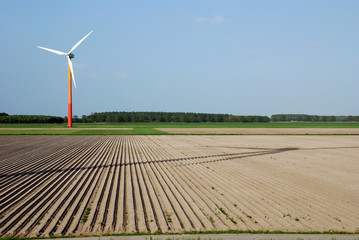 Wall Mural - clean energy