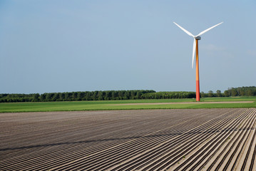 Wall Mural - clean energy