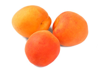 Apricots isolated on a white background