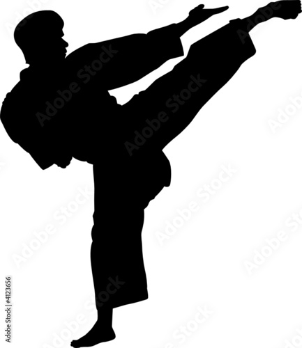 Nowoczesny obraz na płótnie Karate guy