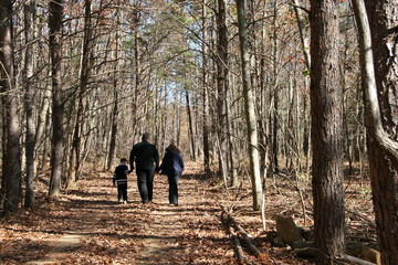 Father and Children, Enjoy a Walk in the Woods