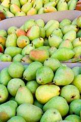 Wall Mural - Green delicious pears at the market place