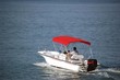 White Whaler Red Canopy