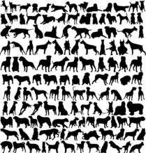 Hundreds Of Silhouettes Of Dogs