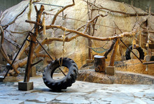 Zoo Interior