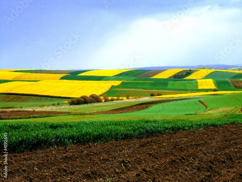 Naklejka na drzwi field