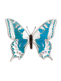 Fototapeta Motyle - papillon