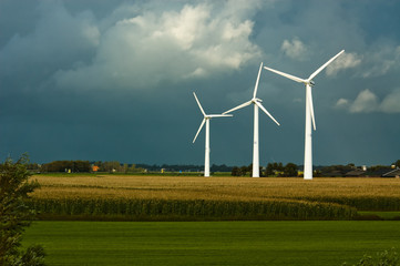 windmills on farmland