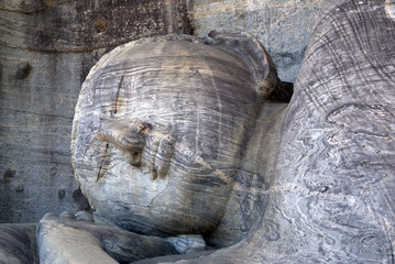 Wall Mural - Head of Buddha