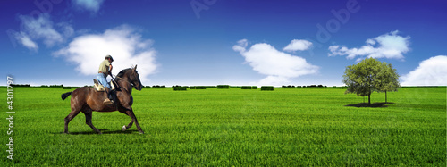 Fotomural Jinete y caballo en paisaje panoramico.