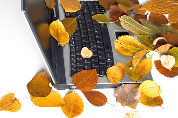 Poster - Autumn laptop