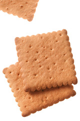 Wall Mural - Square cookie