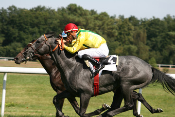 Wall Mural - course de chevaux - horse racing