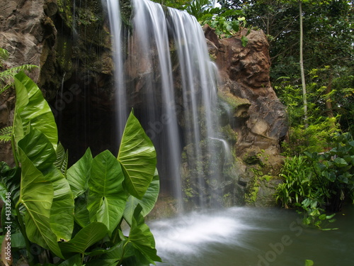 Naklejka ścienna Waterfall At Botanic Garden