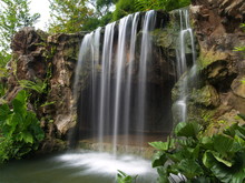 Waterfall At Botanic Garden