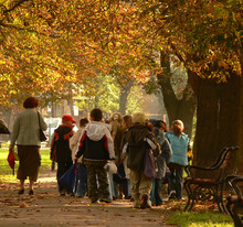 School Kids On A Trip In The Park In Autumn
