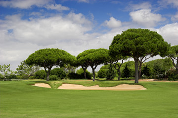 Wall Mural - Golf camp