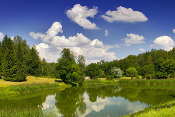 Wall Mural - summer reflection