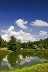 Canvas Print - trees and clouds reflection